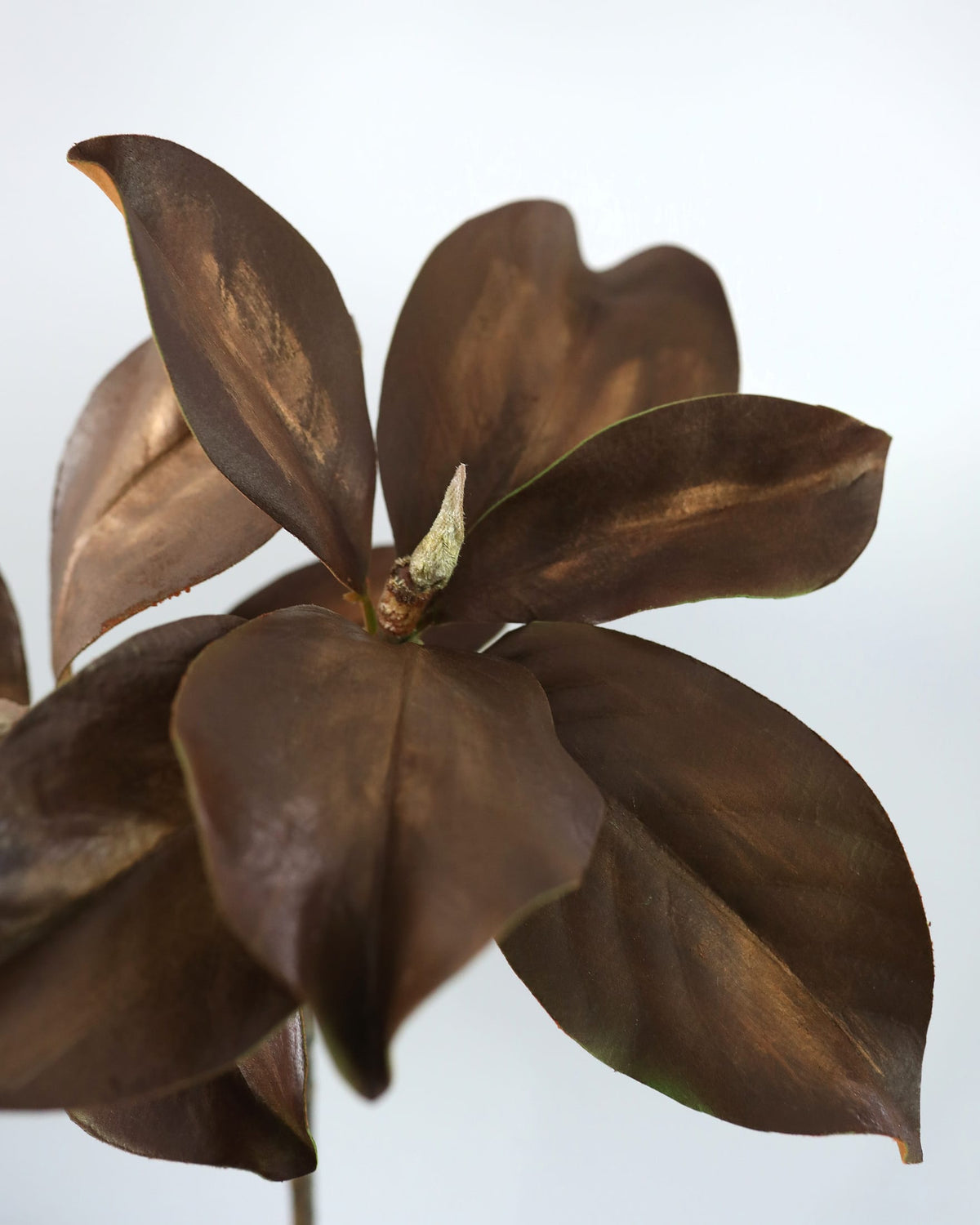 Bronze-colored faux magnolia close up 