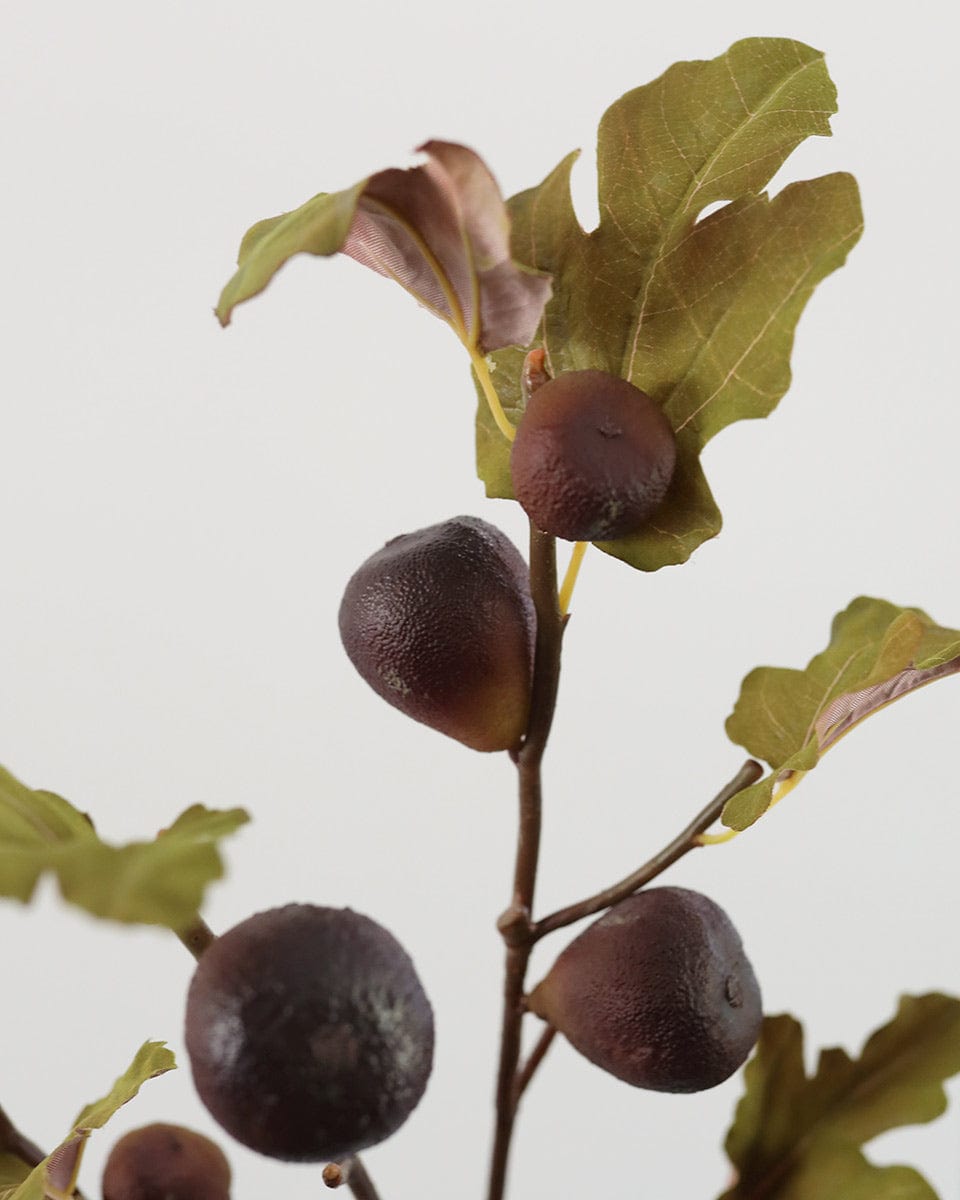 Burgundy Figs Faux Fruits