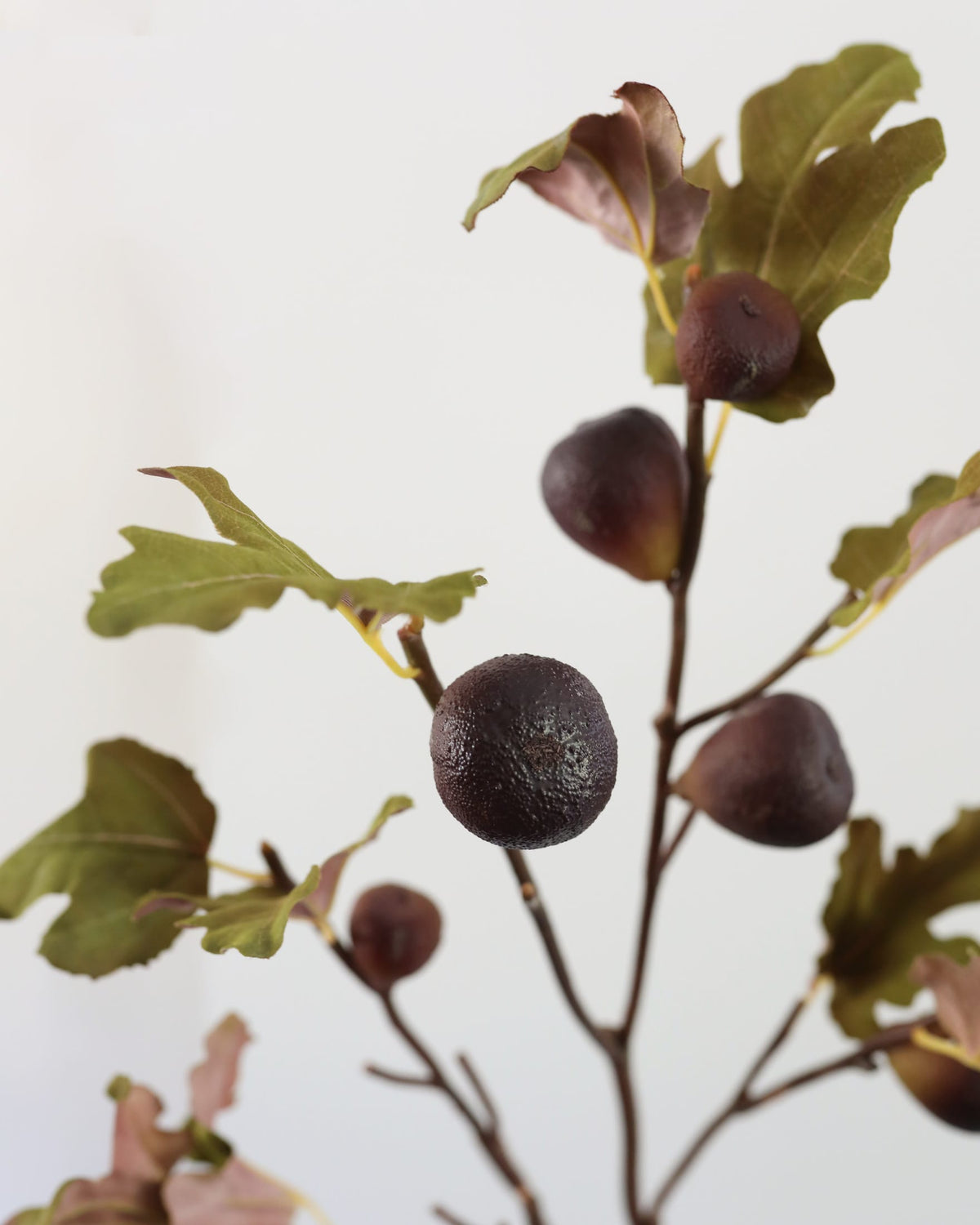 Faux Fig Fruit close up 