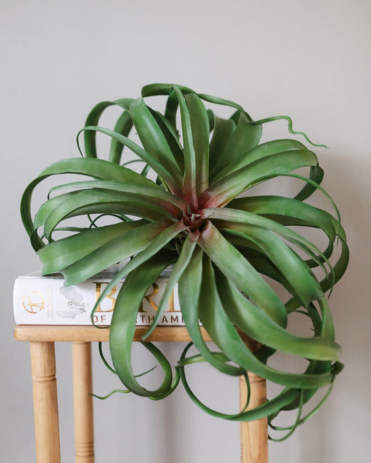 Fake Plant Green Air Grass 