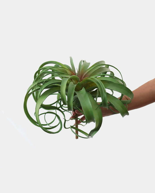 artificial Air grass plant held in hand