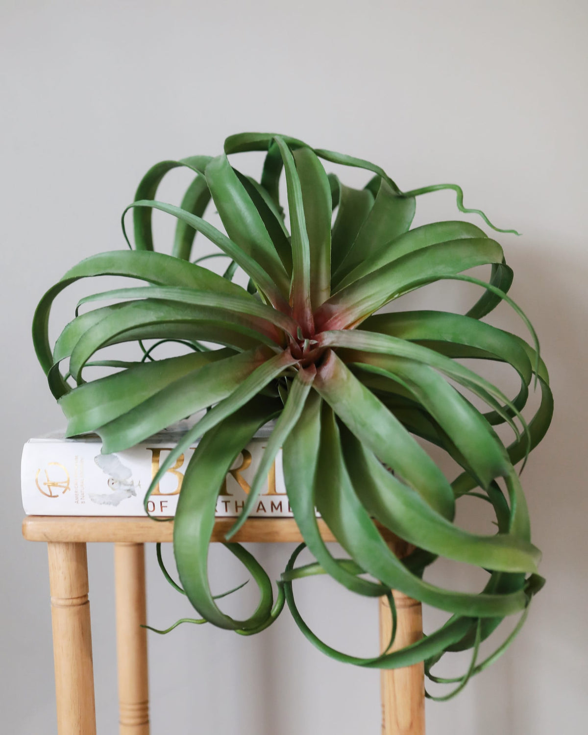 Artificial Air grass plant on a small table and book 