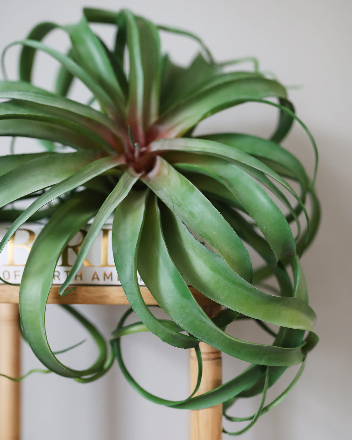 Artificial Air grass plant