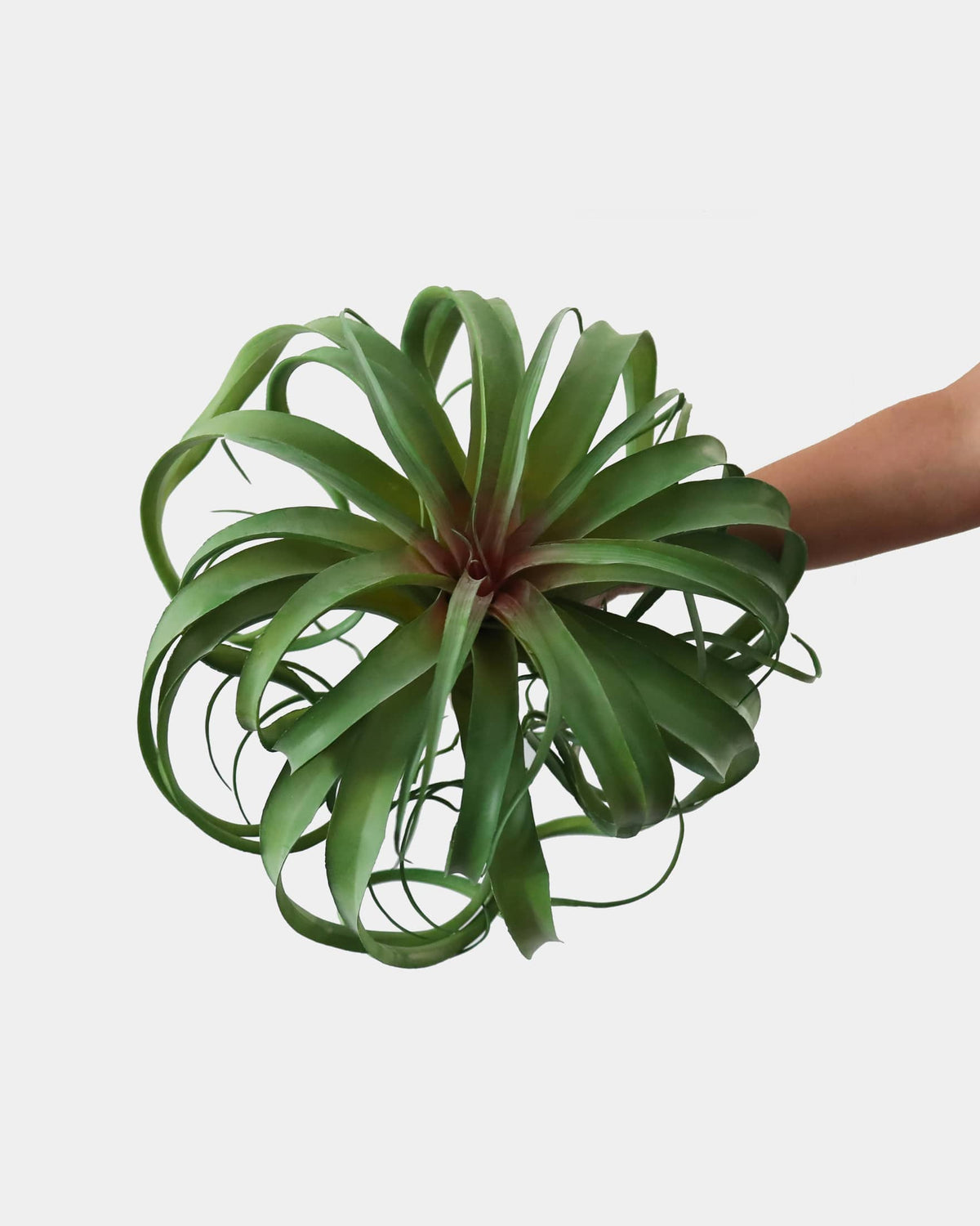 Artificial Air grass plant held in hand