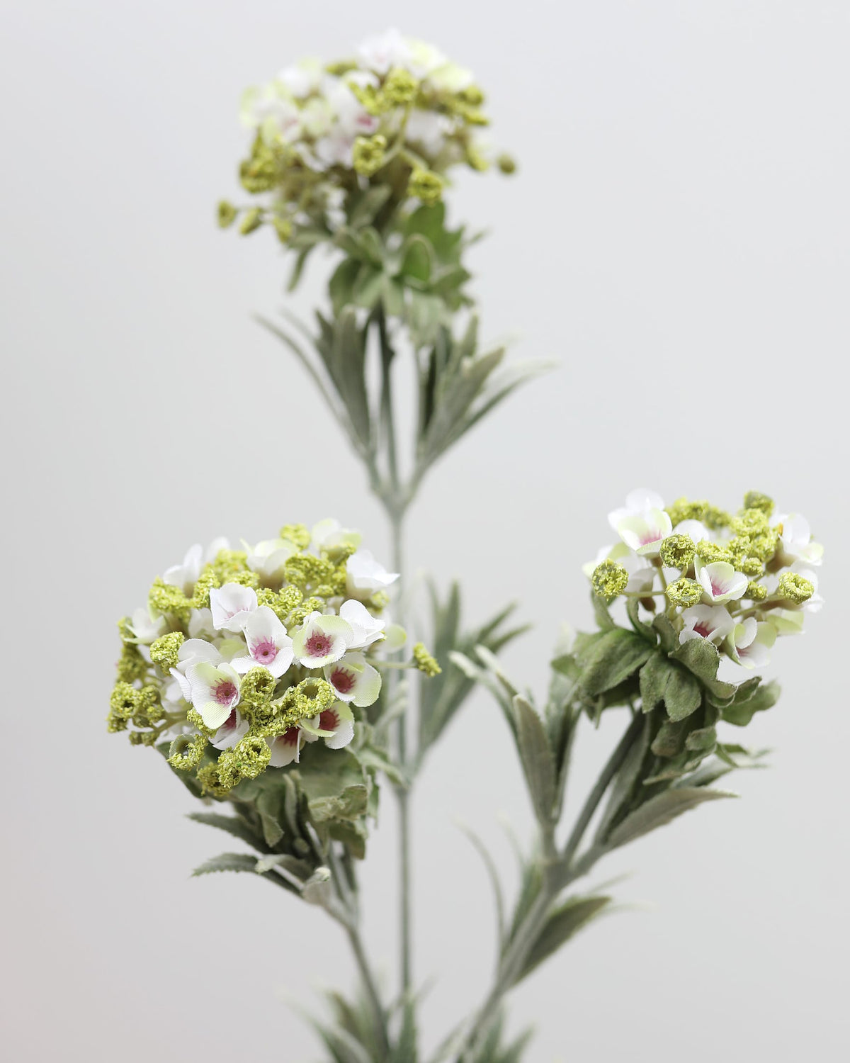 White Green Mountain Laurel Faux Flowers