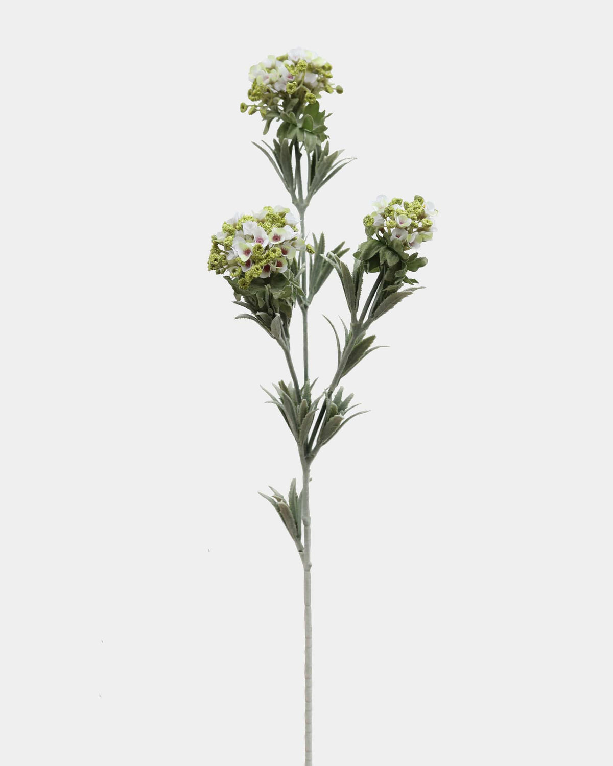Artificial flower stem with green leaves and white flowers on a light gray background