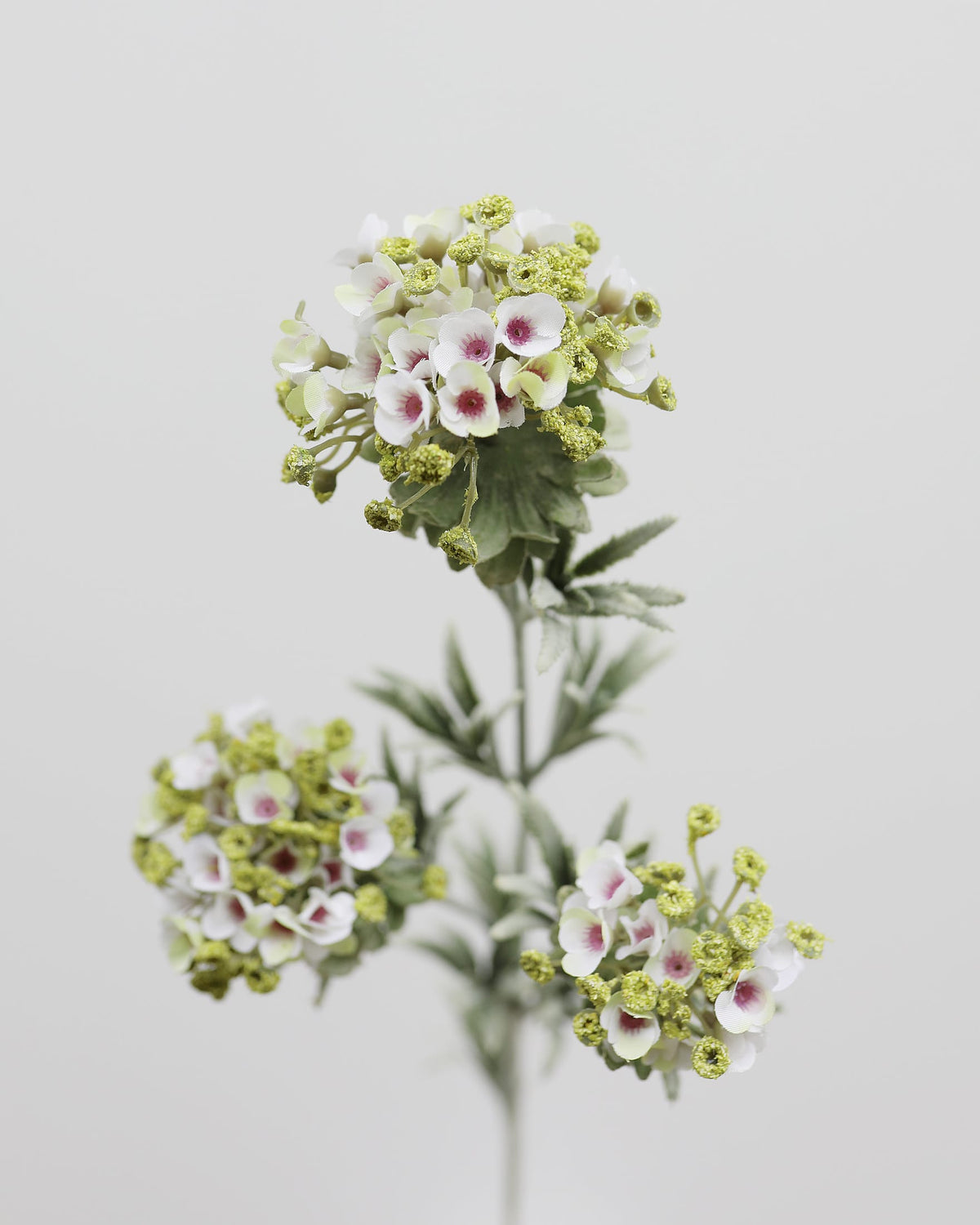 White Green Mountain Laurel Faux Flowers close up 