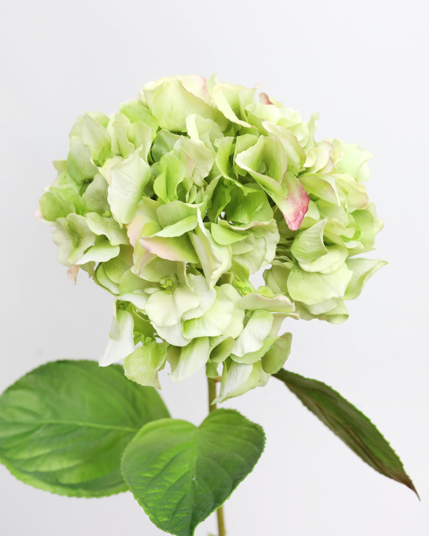 Close-up of an artificial green real-touch hydrangea bloom with detailed petals and leaves.