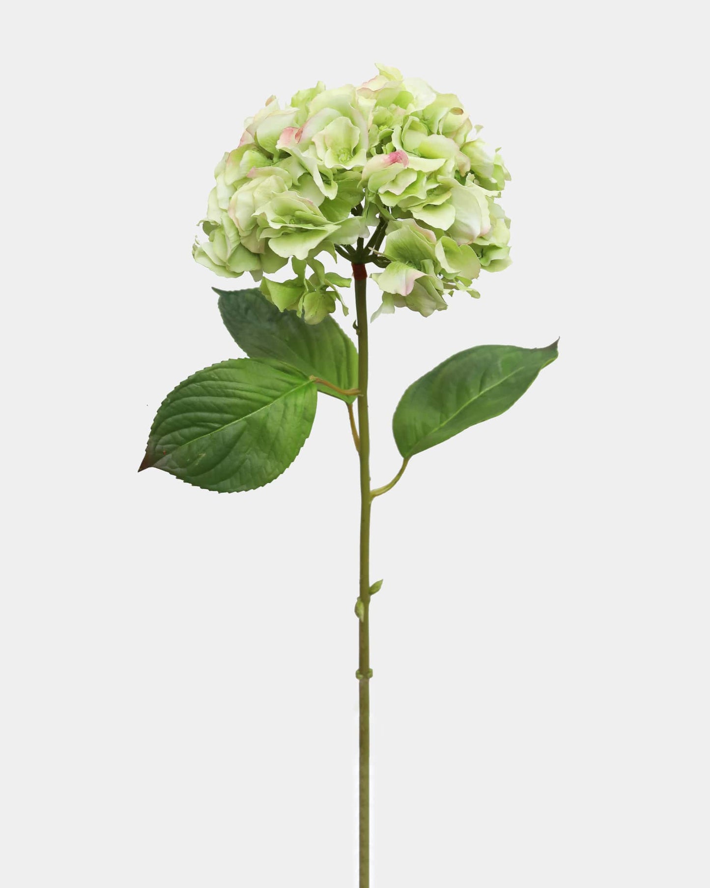 Tall artificial green real-touch hydrangea stem with a lifelike bloom and foliage on a light background.