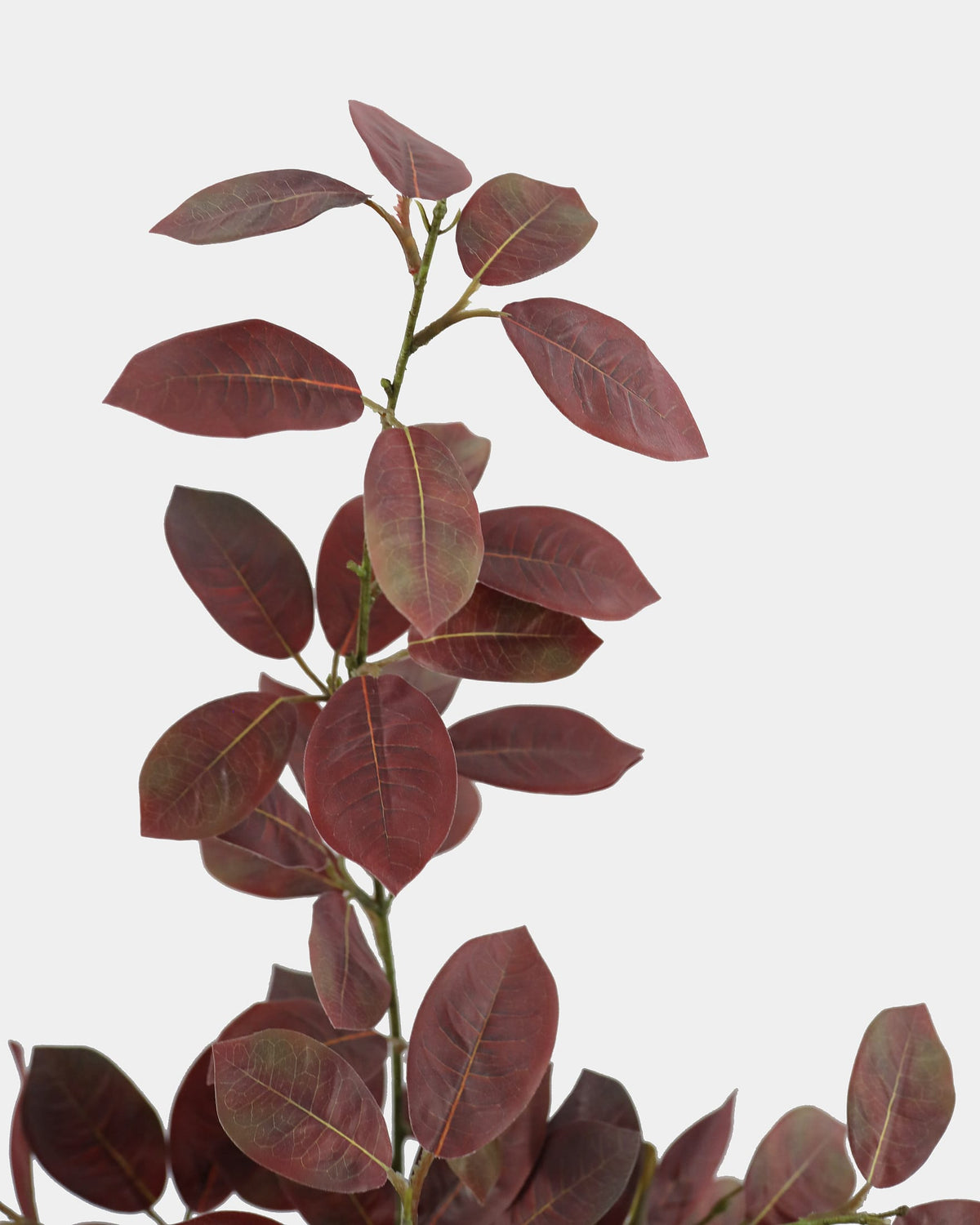 A close-up of a decorative faux smoketree plant branch with elongated burgundy-red leaves on a light gray background.