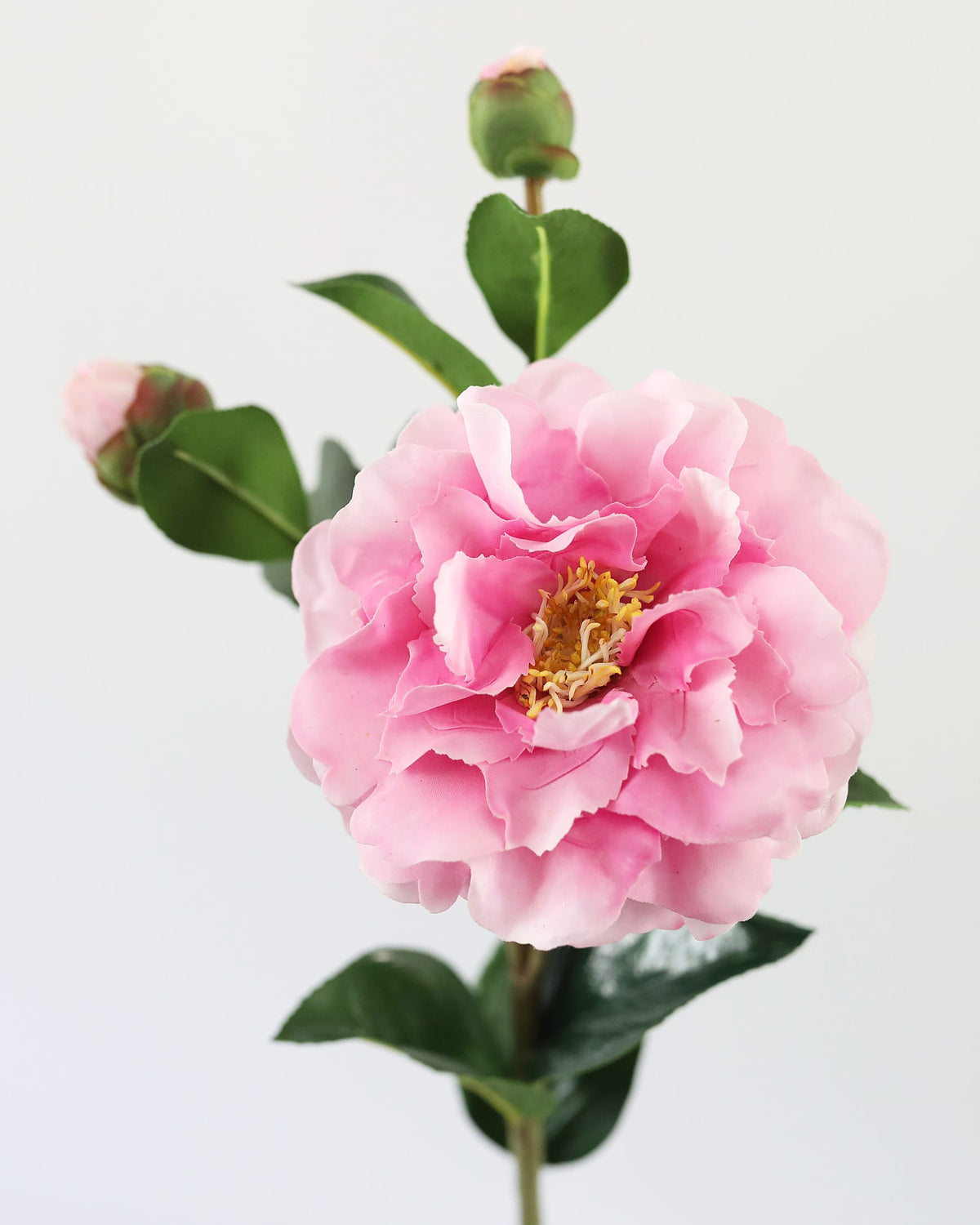 Artificial Pink Real Touch Camellia Flower