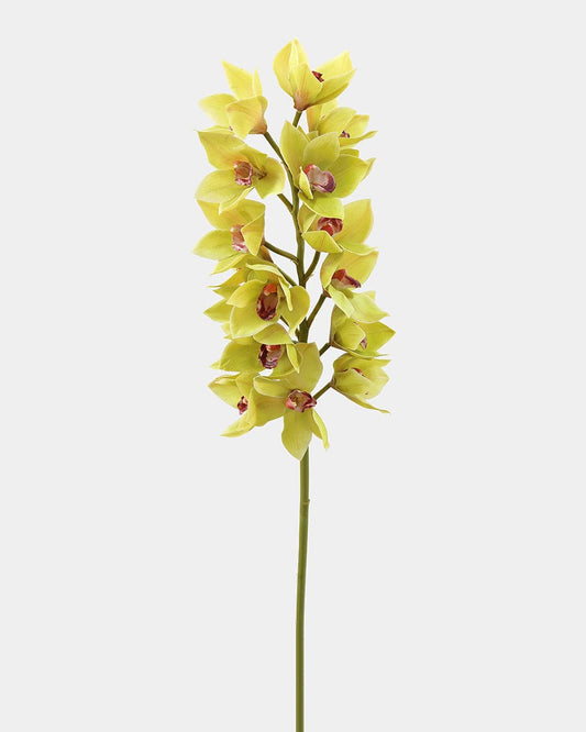 Artificial Orchids Green Large Cymbidium