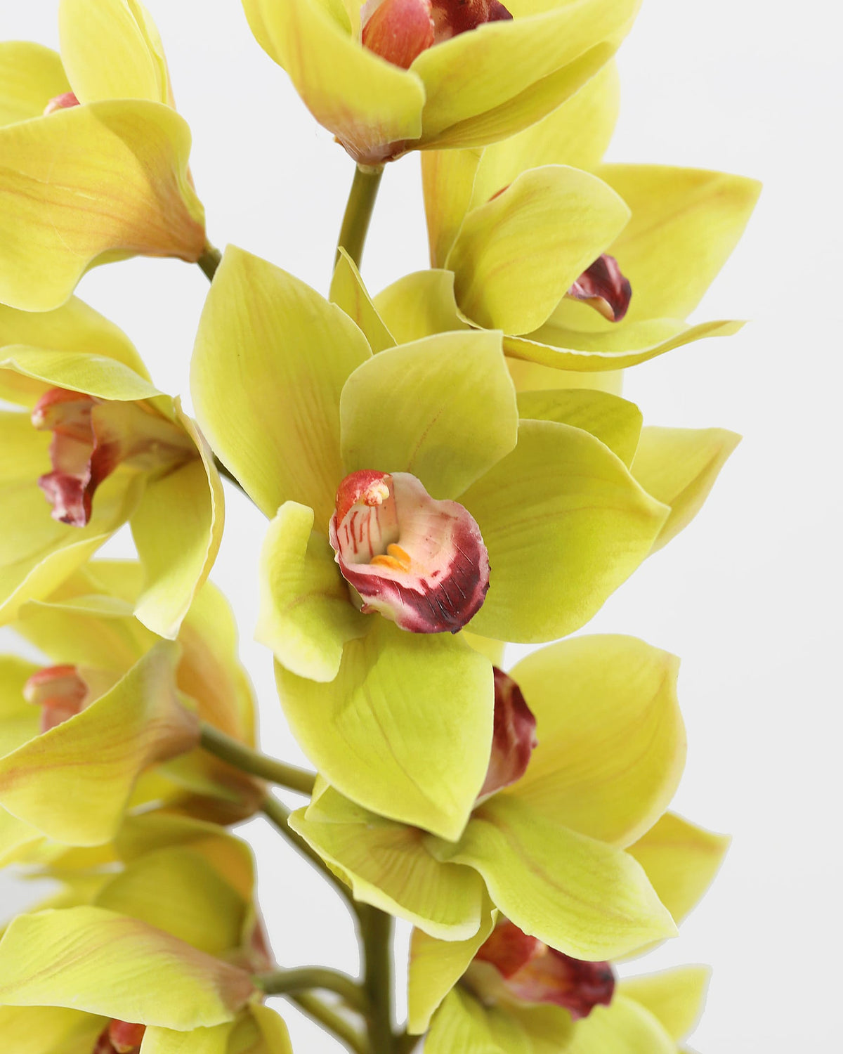 A close-up of a faux cymbidium orchid stem with pale yellow-green petals and reddish-purple centers, photographed against a clean light gray background.