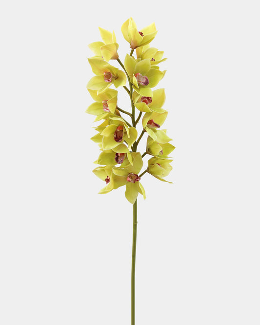 Artificial Green Large Cymbidium Orchid