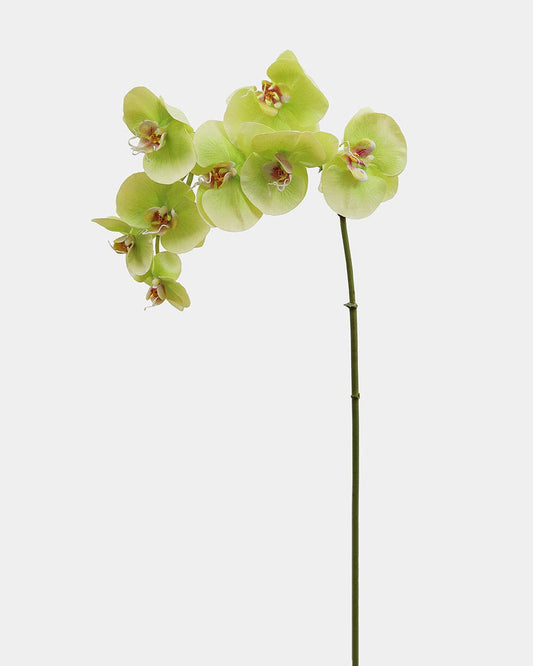 Fake Flowers Green Phalaenopsis Orchid