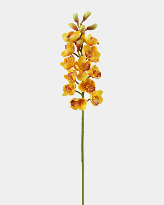 A faux single yellow orchid flower with reddish-purple spots on its petals and a long green stem, isolated on a light gray background.