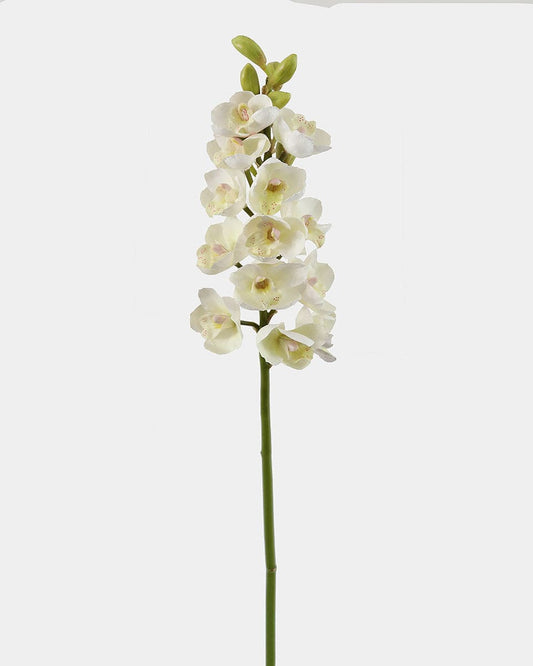 Artificial Orchids Cream Cymbidium Stem