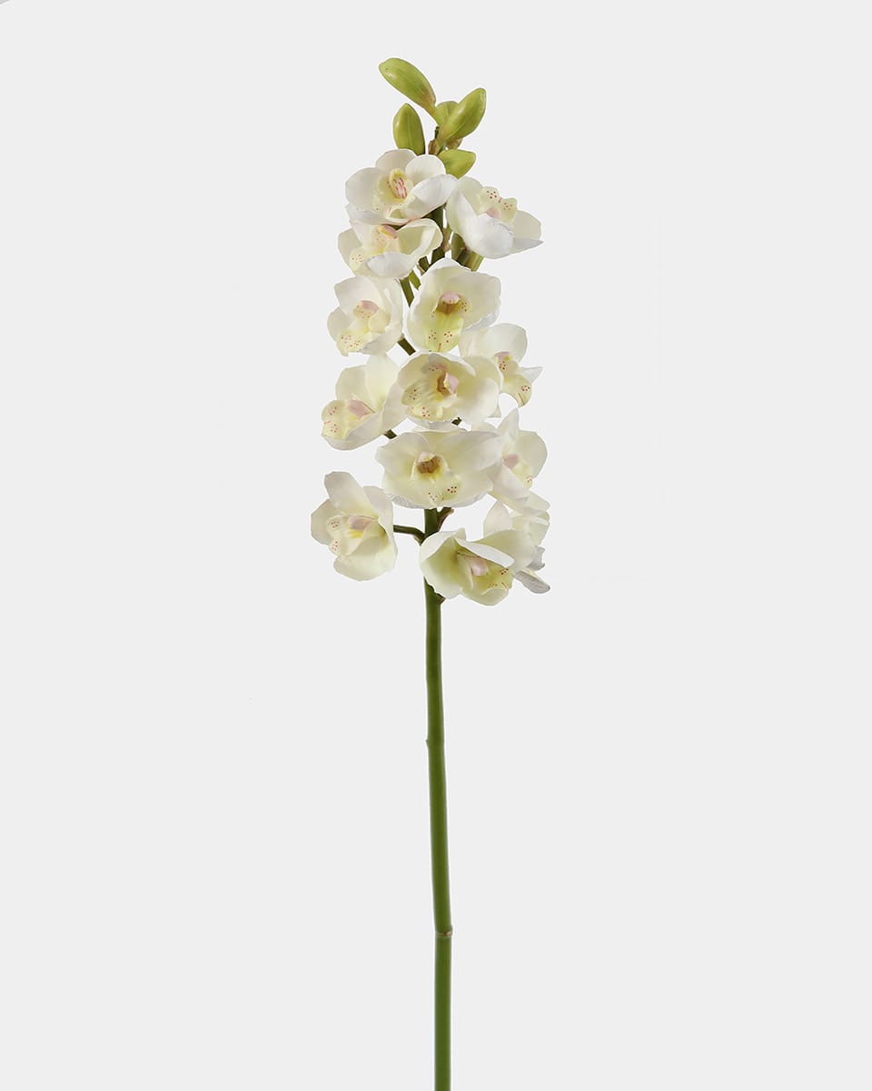Artificial Orchids Cream Cymbidium Stem