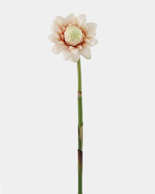 Artificial Blush Protea Blossom