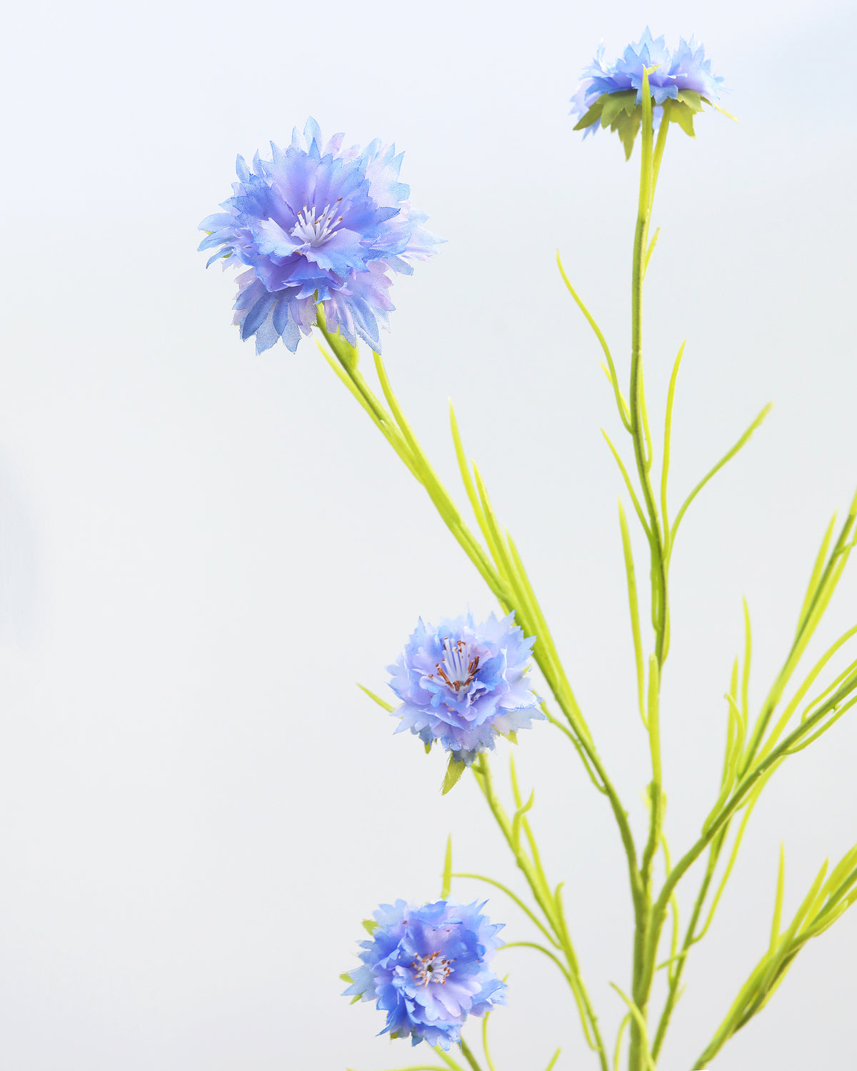 Artificial Blue Corn flower wildflower close up