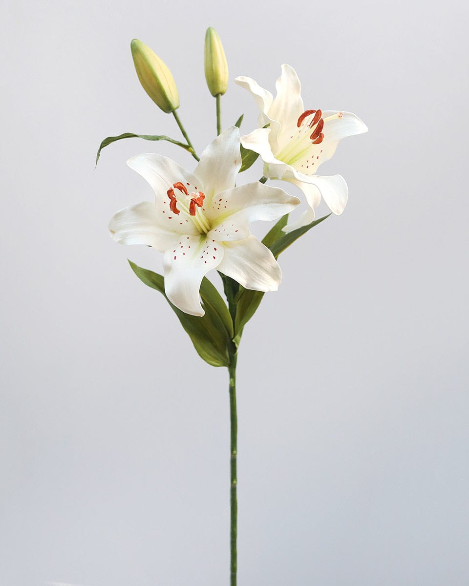 Prestige Botanicals Artificial White Stargazer Lily