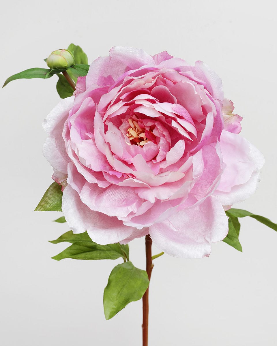 Prestige Botanicals Faux Pink Peony Silk Flower