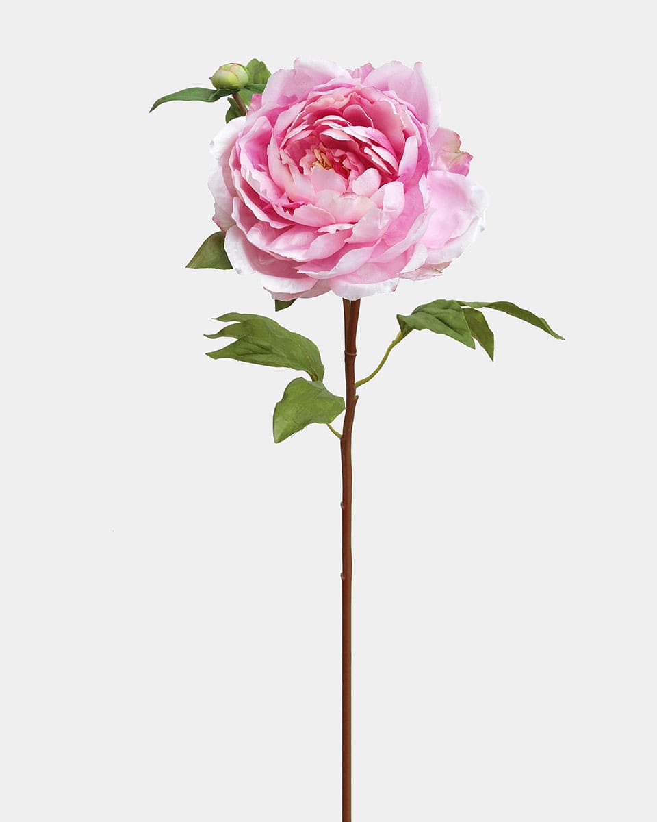 Prestige Botanicals Artificial Pink Peony stem