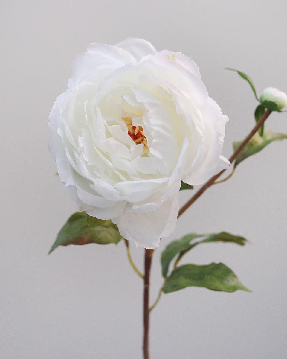 Faux Peony Bloom in White Premium Florals