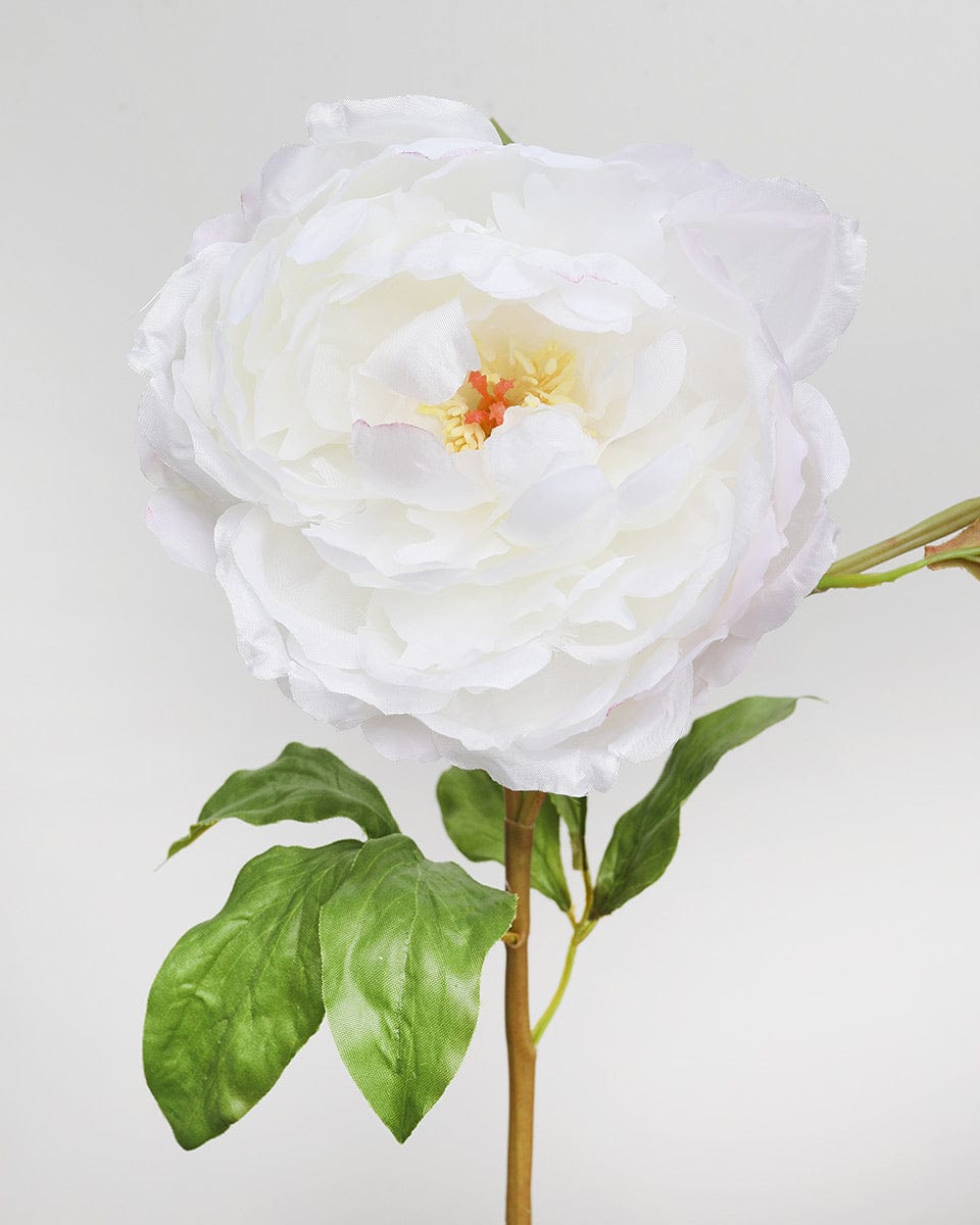 Faux Peony Bloom in White Premium Florals