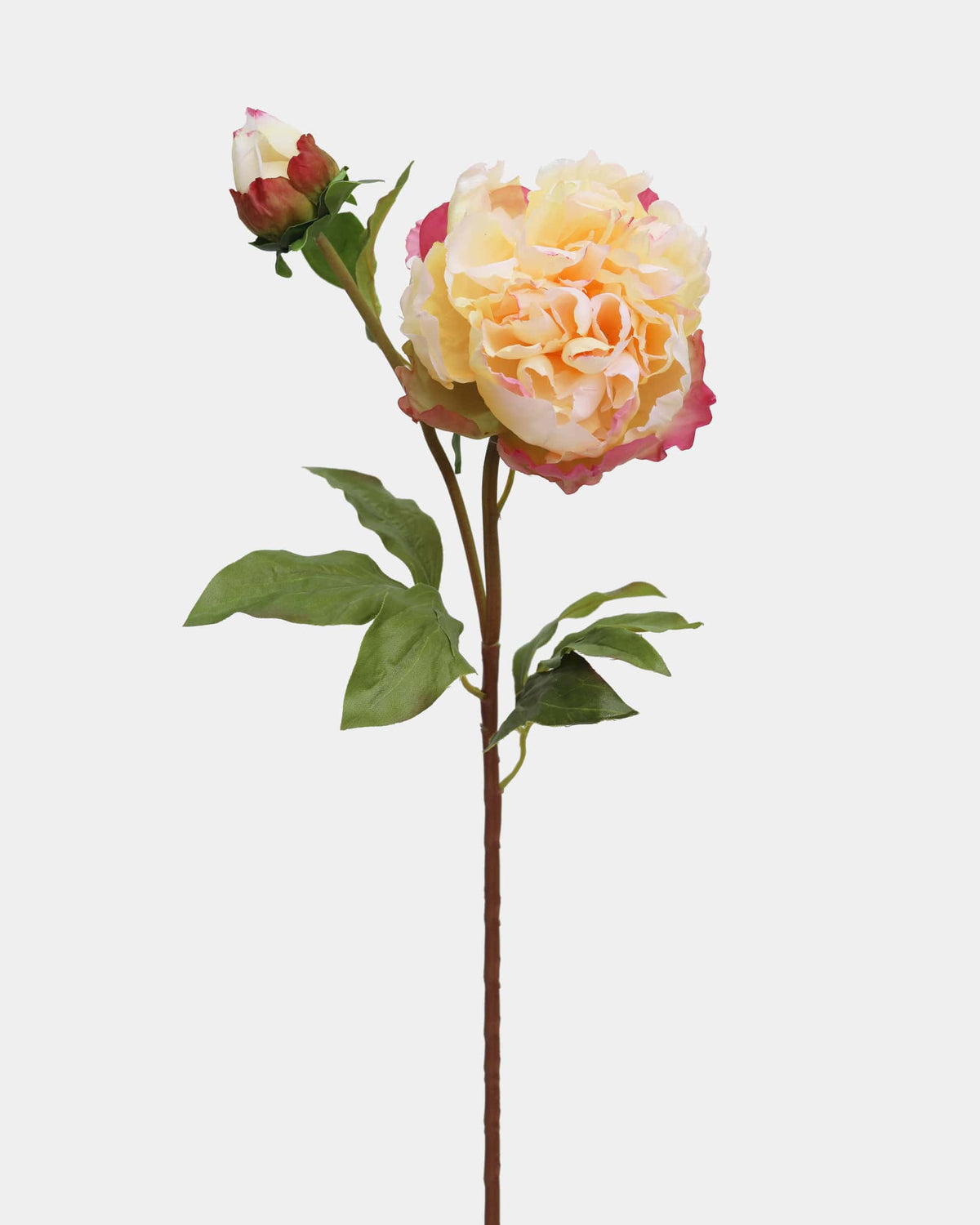 A single artificial peony stem with a large cream and pink flower, green leaves, and a small bud on a light gray background.
