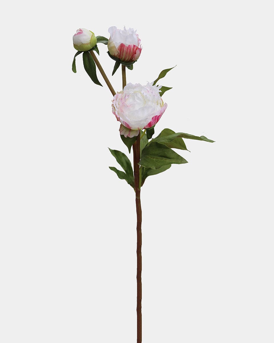 White and Pink Peony Spray 19