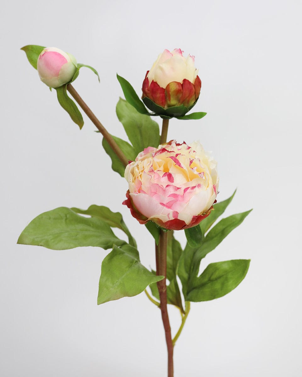 Artificial Peony Buds in Peach and Yellow