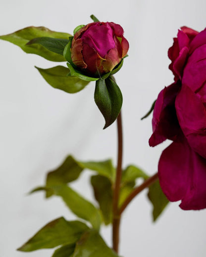 Prestige Botanicals Artificial Burgundy Peony leaf close up