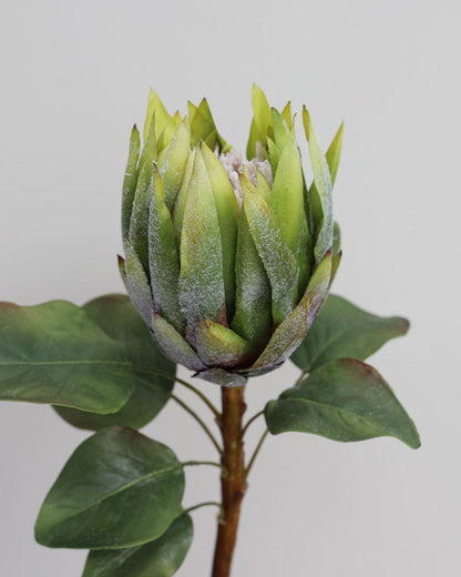 Silk Flowers Green King Protea Tropical Flowers