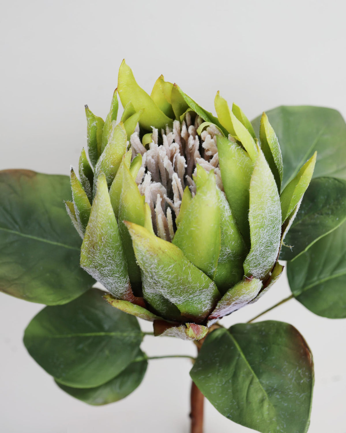An artificial protea flower stem with green and yellow-green petals, a textured cream center, and dark green leaves, shown against a plain light gray background.