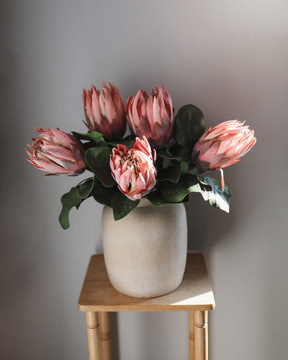 Tropical King Protea Blooms in Pink in Vase