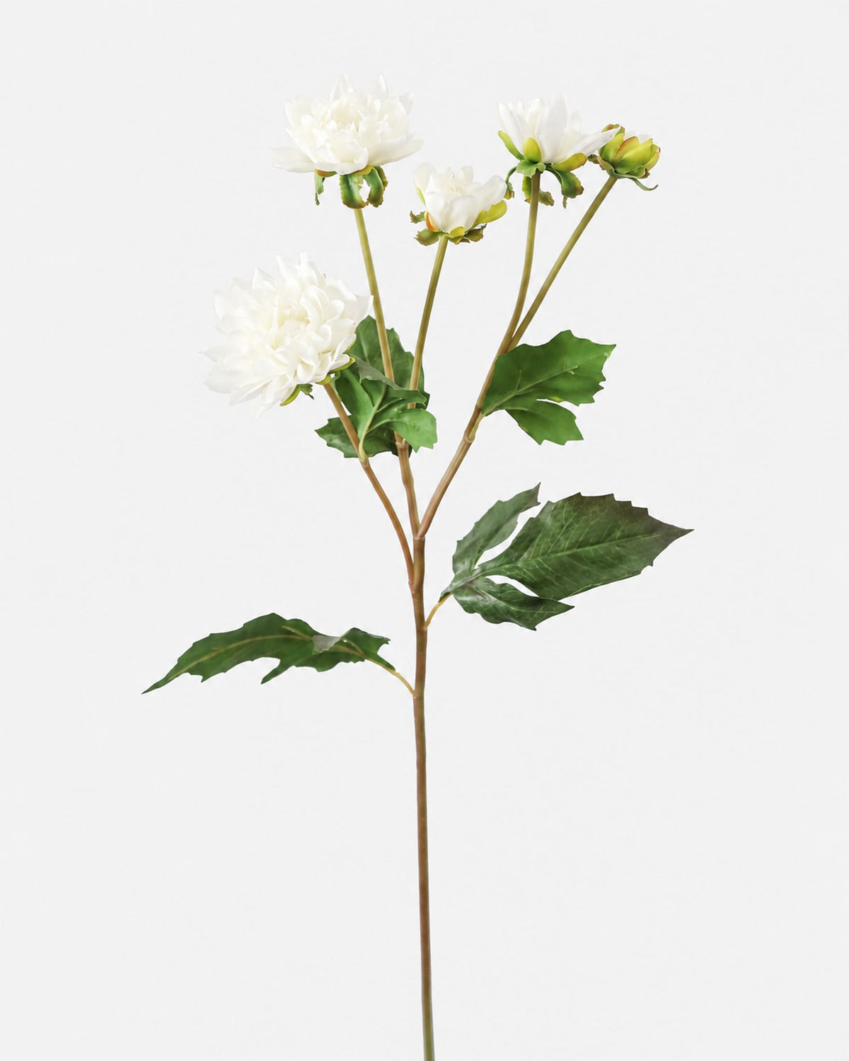 A single artificial white dahlia stem with green leaves and buds, photographed against a plain light gray background.