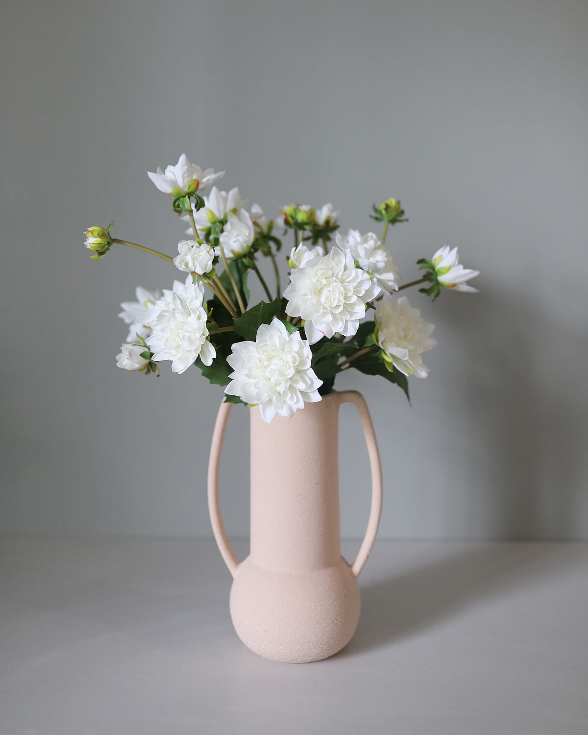 Pink vase with white dahlias on a gray background