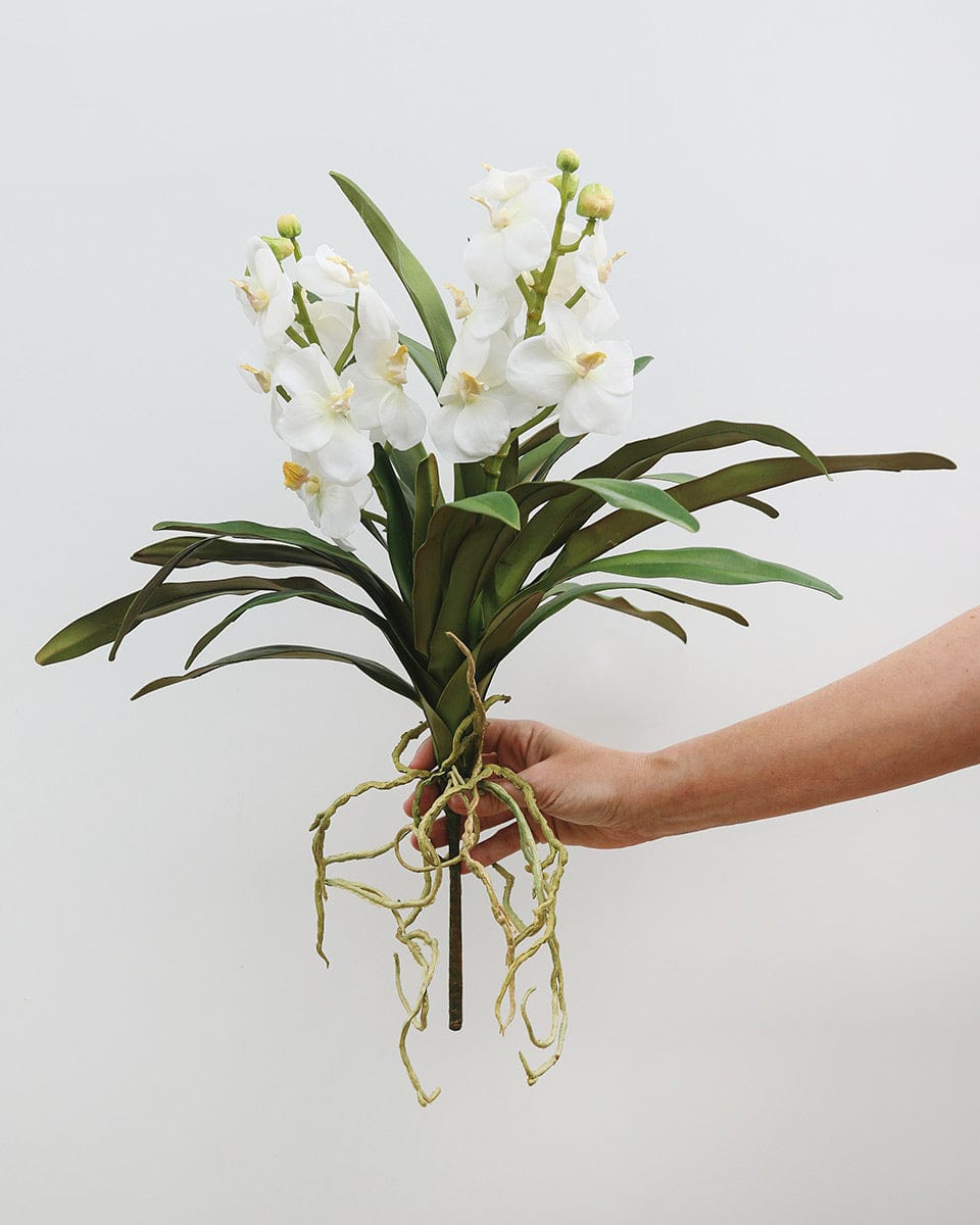 Prestige Botanicals Artificial White Vanda Orchid Plant