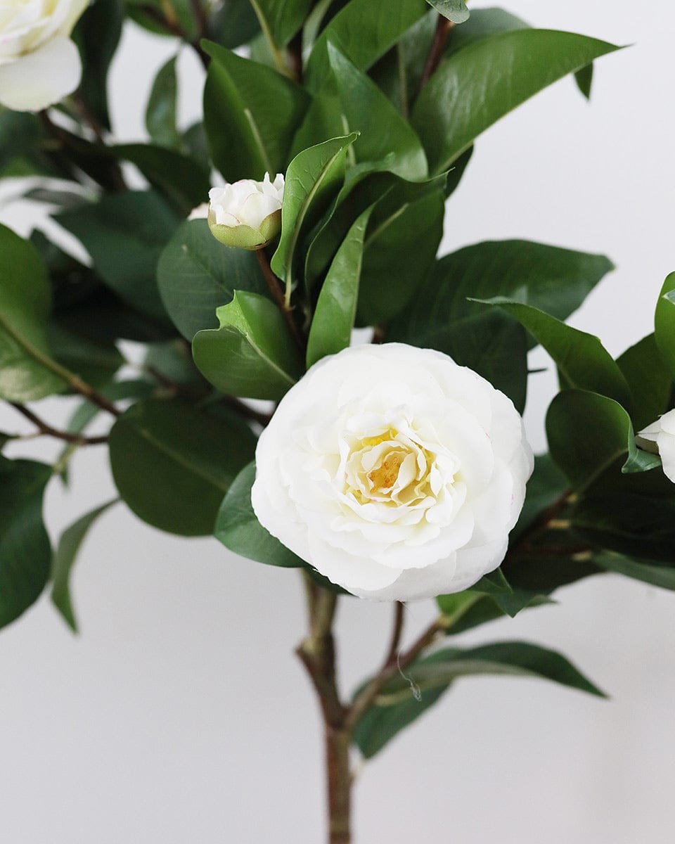 Fake Flowers White Camellia Bush Blossom