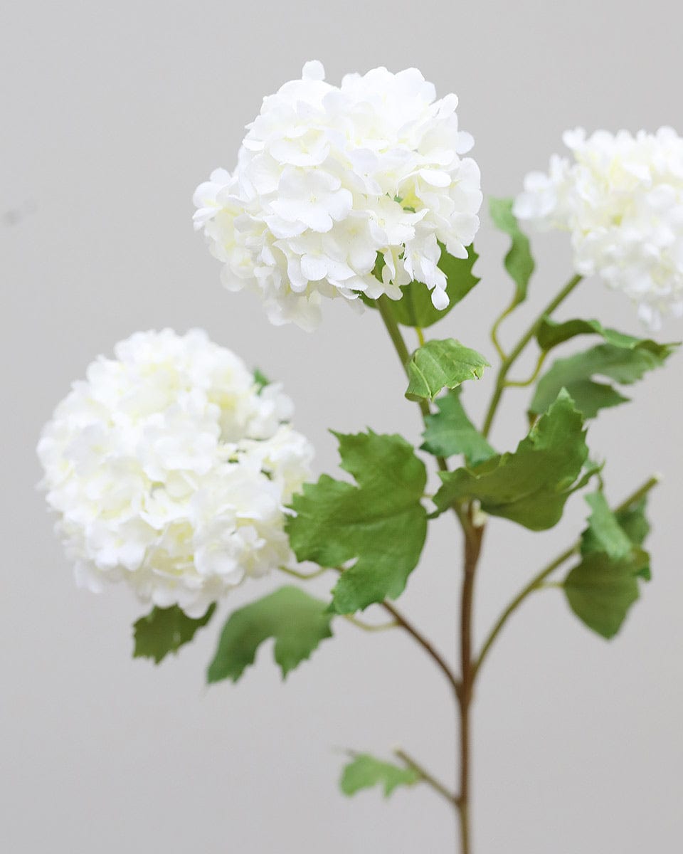 Close Up of Artificial Cream Snowball Flowers