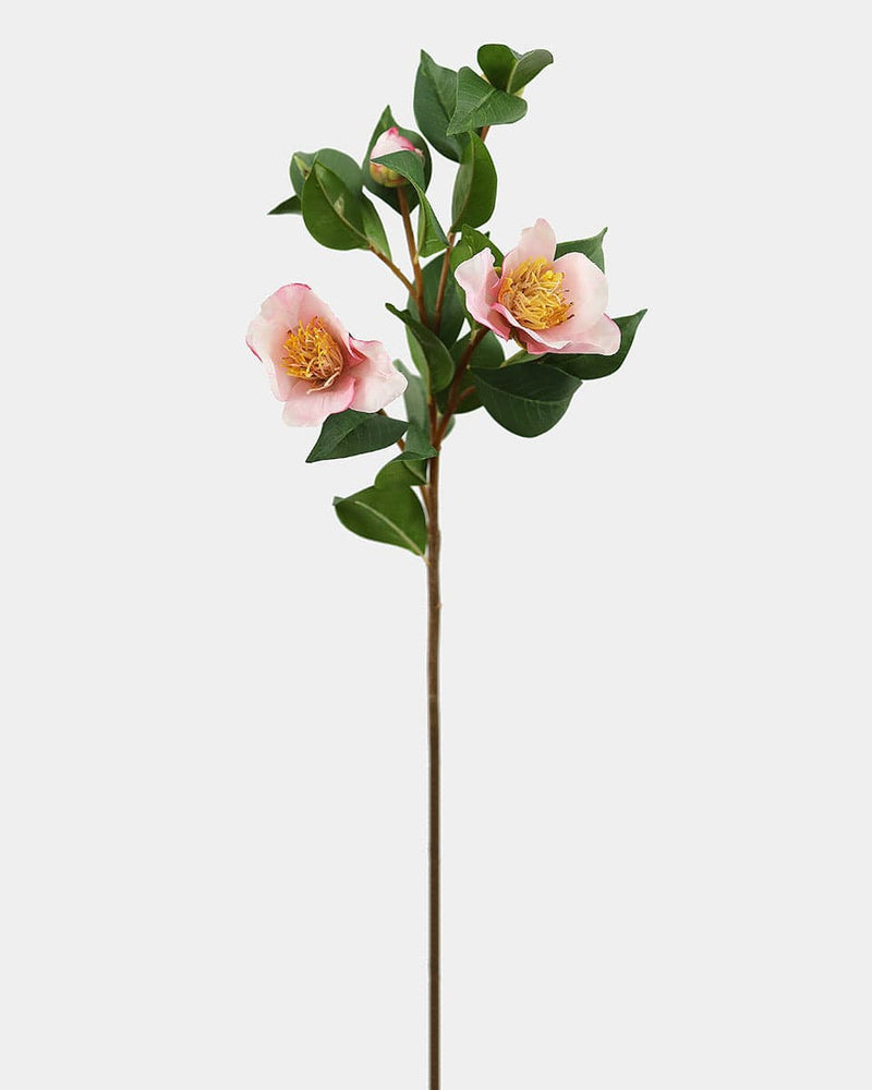 Prestige Botanicals Artificial Pink Sasanqua Camellia Stem