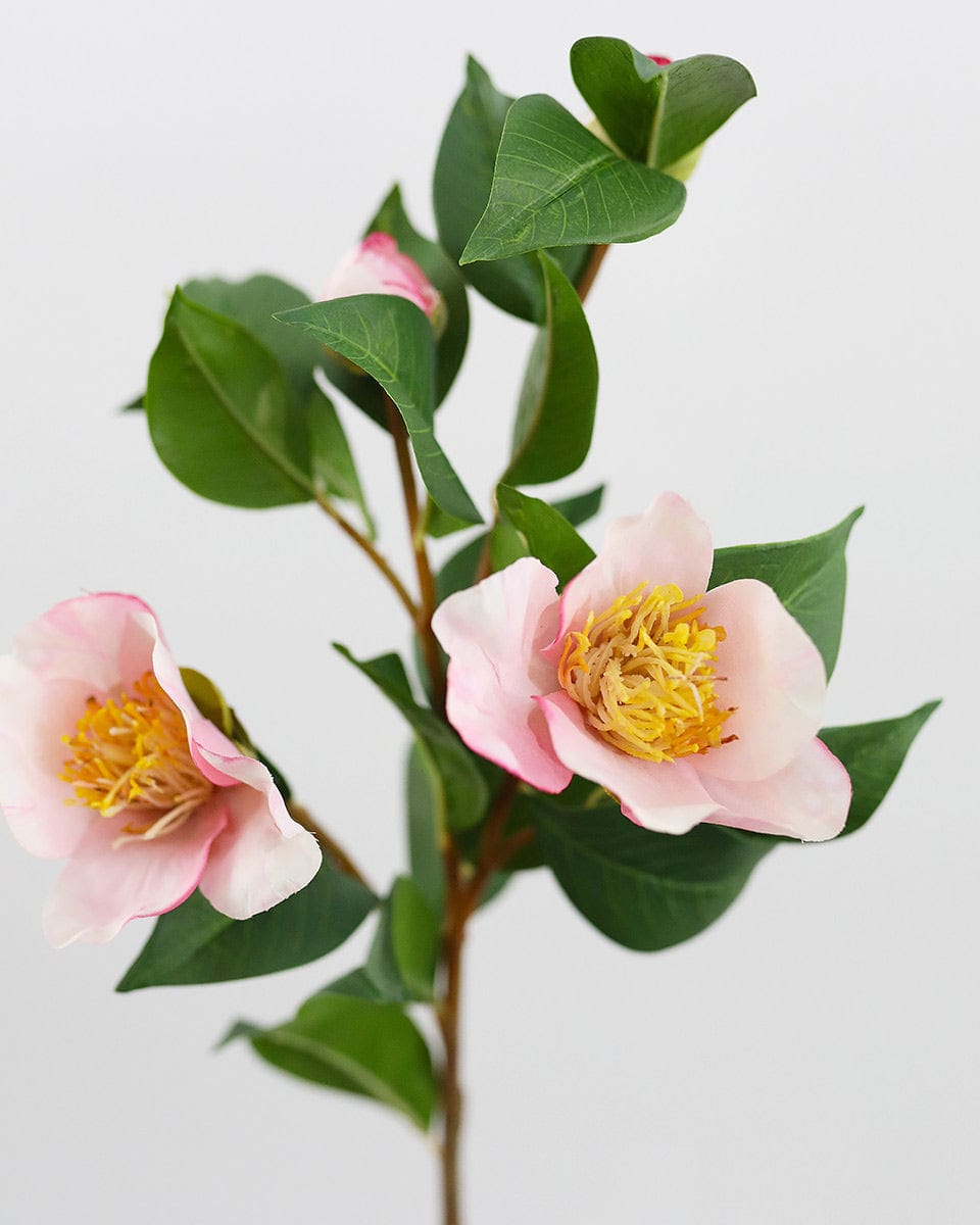 Pink Faux Camellia Flowers Close Up