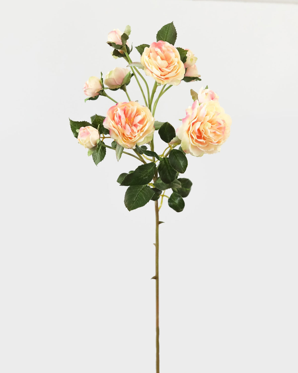 An artificial rose stem featuring multiple peach and cream-colored roses with green leaves, set against a plain light gray background.
