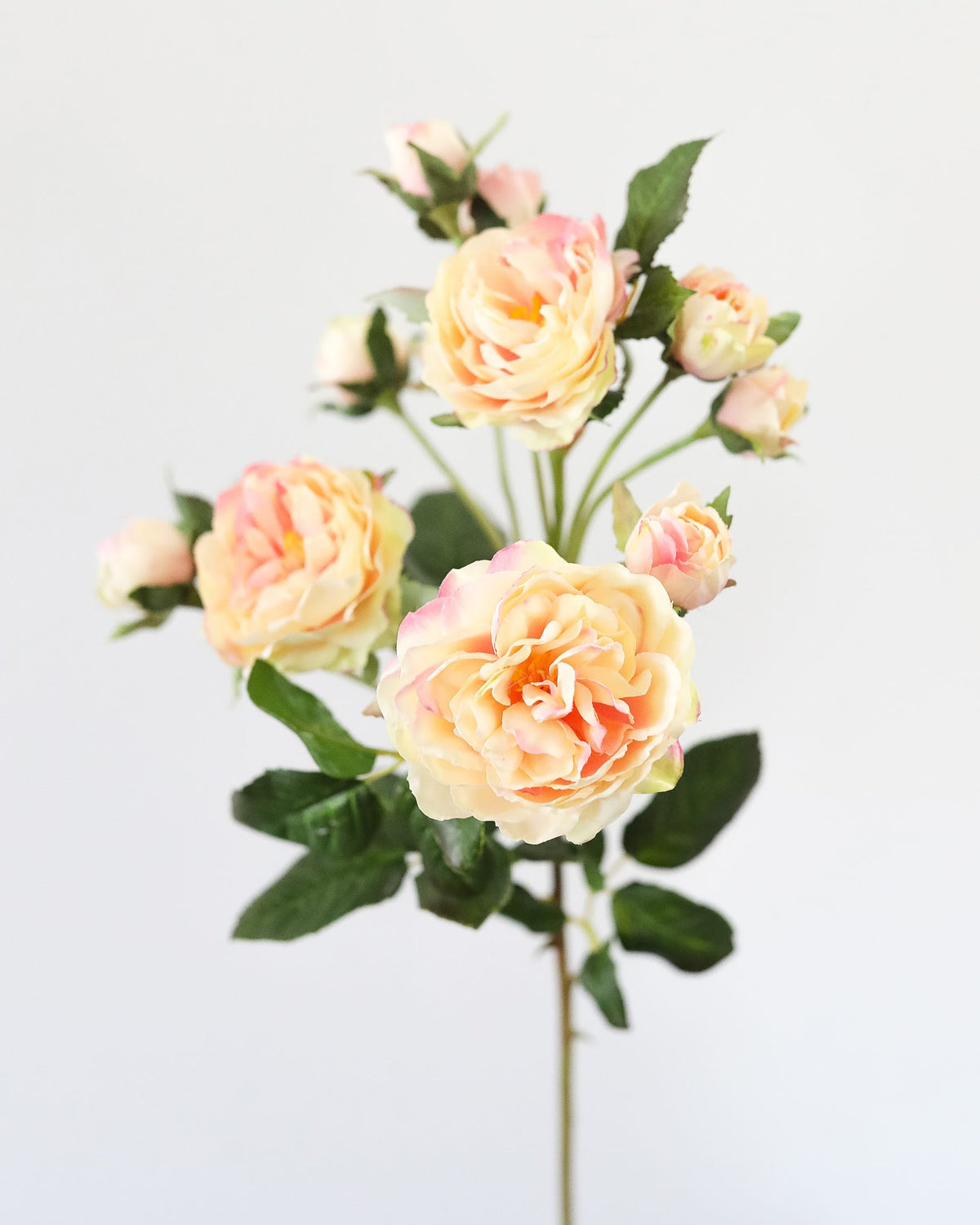 Bouquet of peach-colored faux roses on a light gray background
