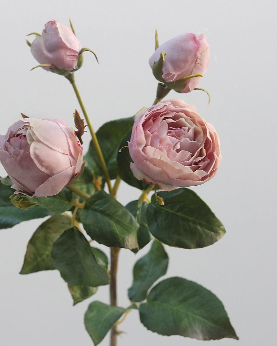 Close Up Details of Real Touch Lavender Mauve English Rose