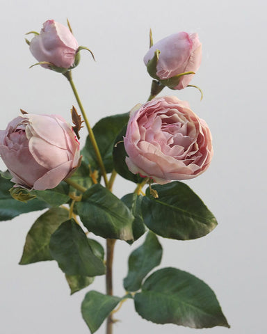 Artificial Mauve English Rose 23