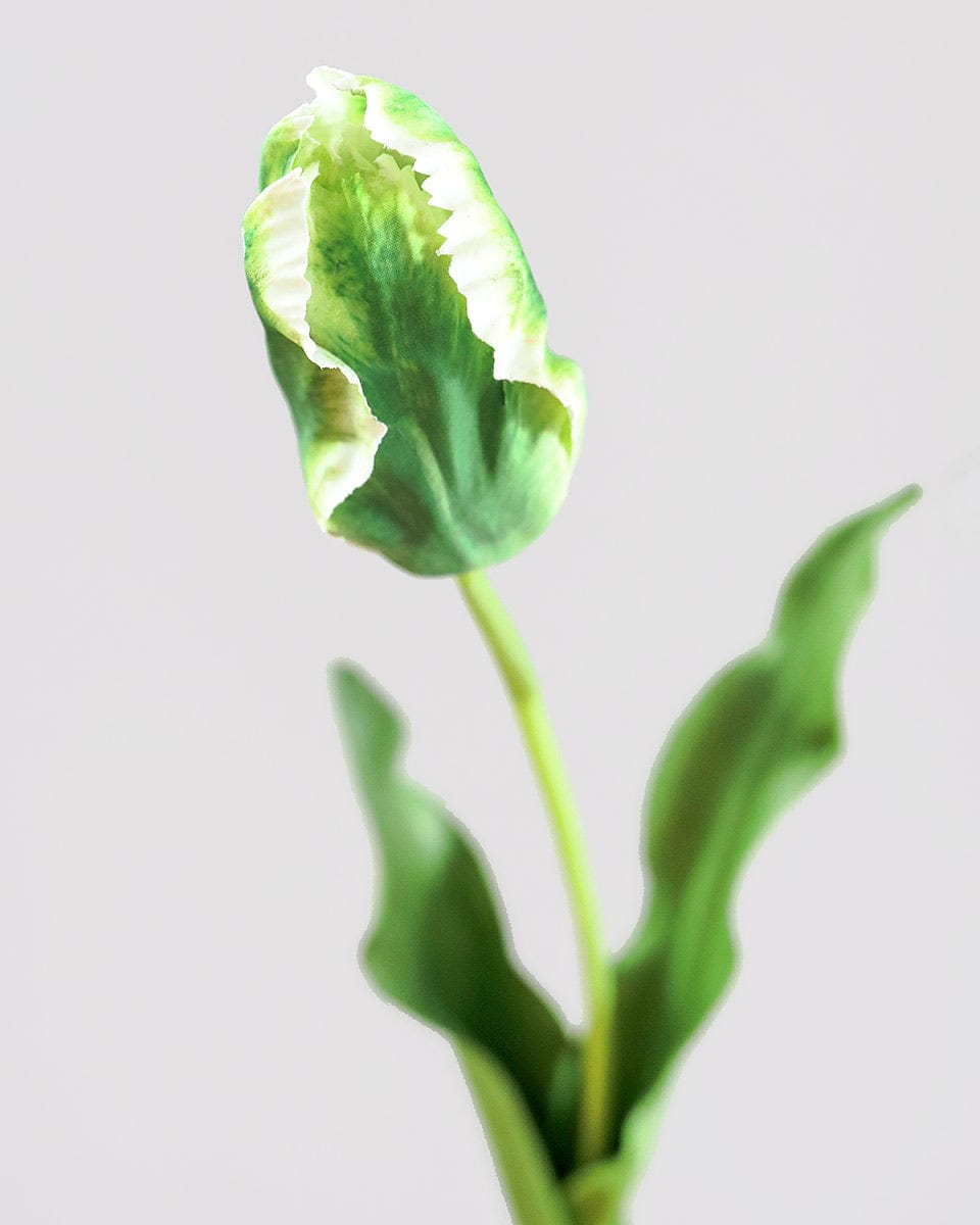 Real Touch Parrot Tulip Bud in Green