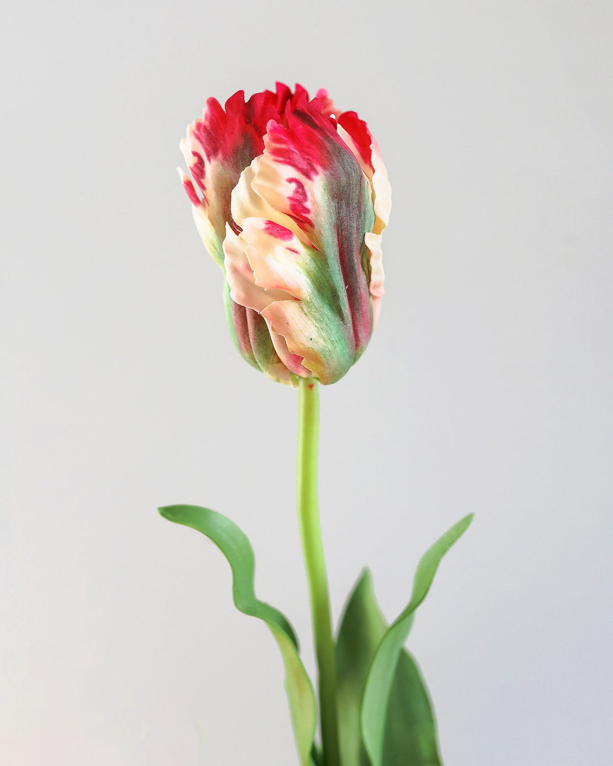 A single artificial tulip with marbled red, cream, and green petals on a long green stem, photographed against a plain light gray background.