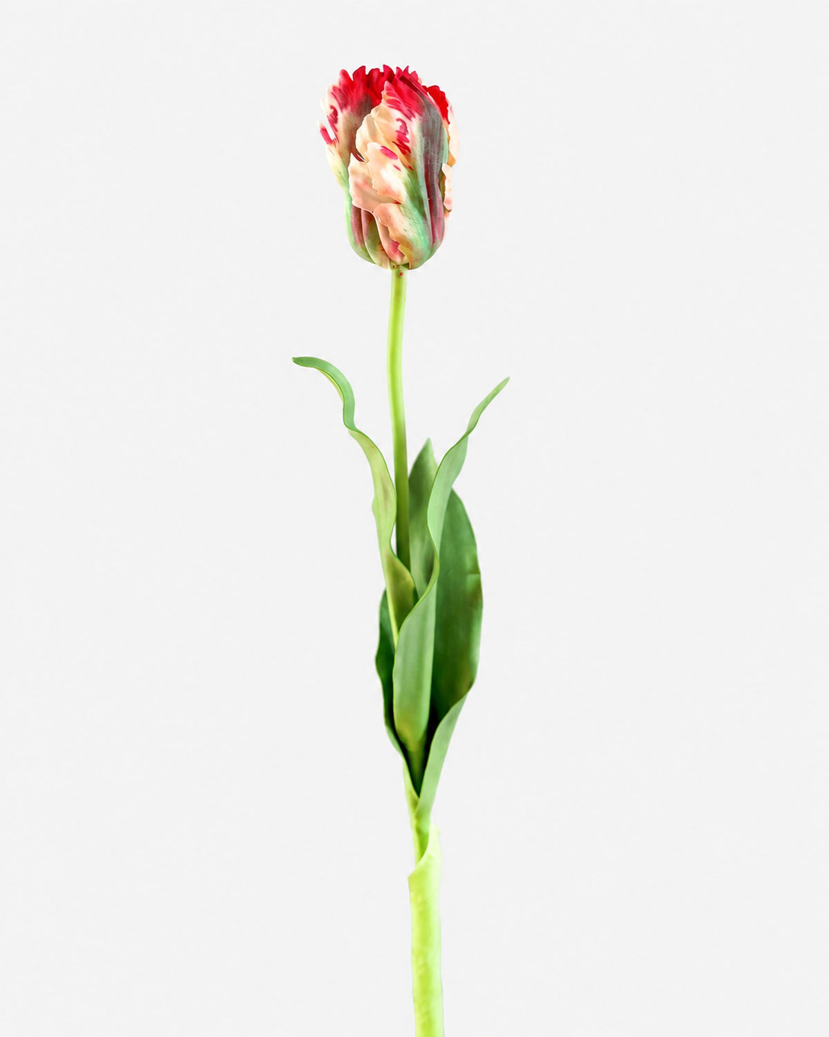 artificial yellow and red parrot tulip